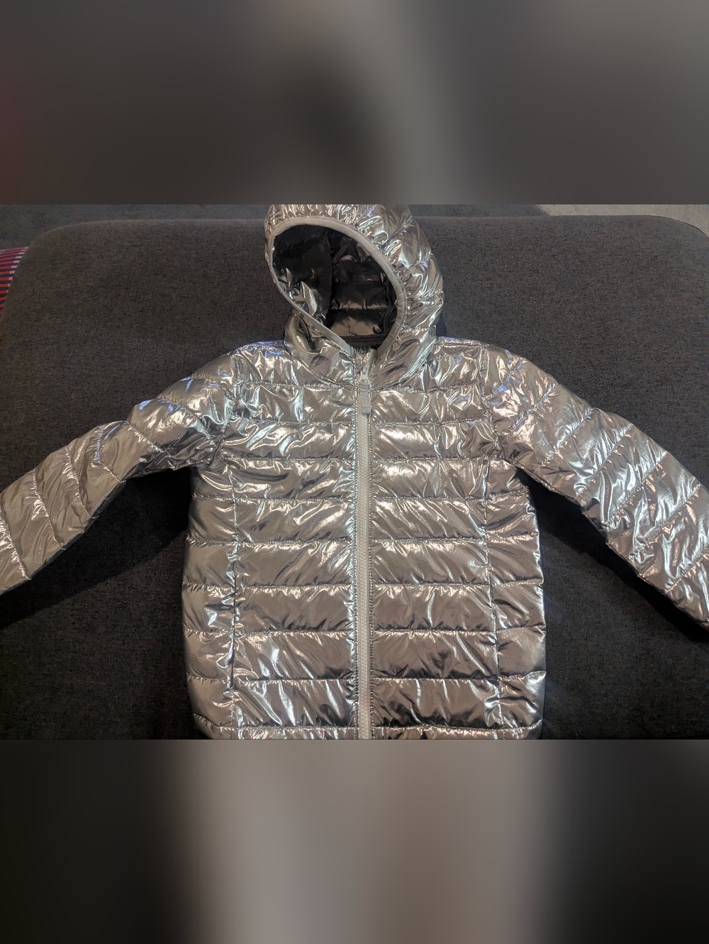Primary Silver Metallic Puffer Jacket with Hood